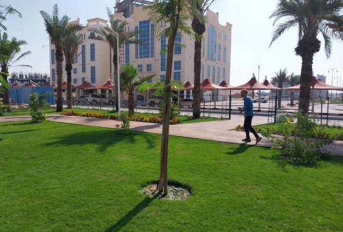 15823031 - صورة العقار 3