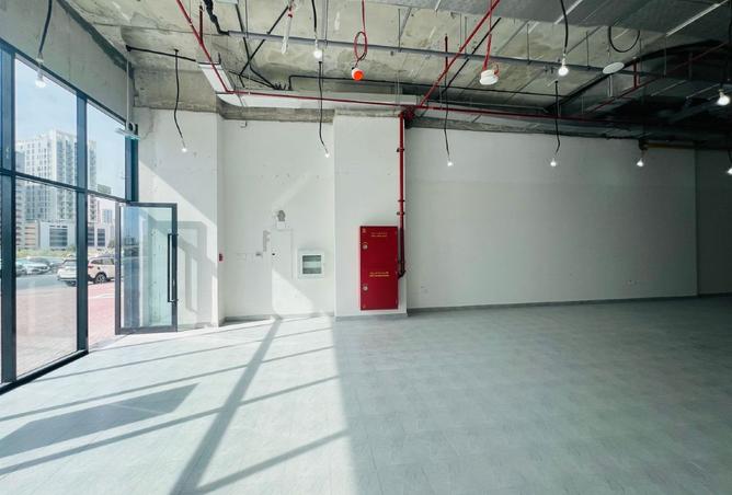 15823725 - Property Image 3