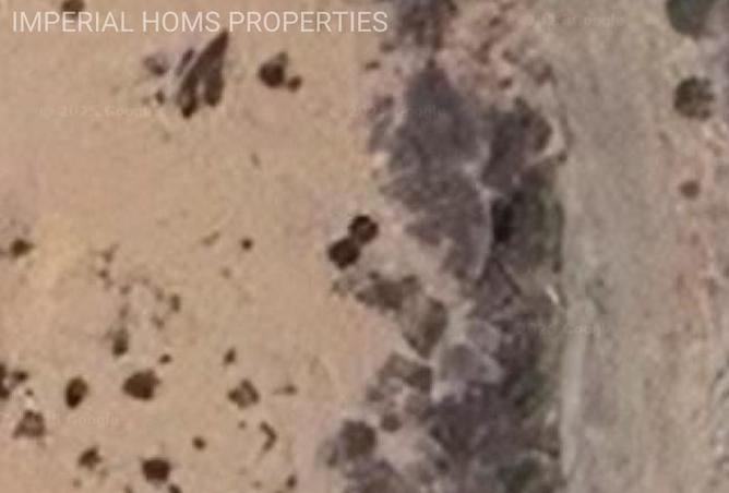 15825109 - صورة العقار 3