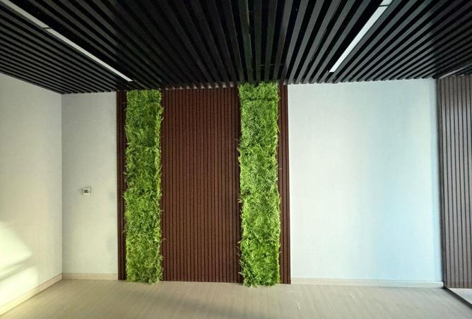 15826940 - صورة العقار 3