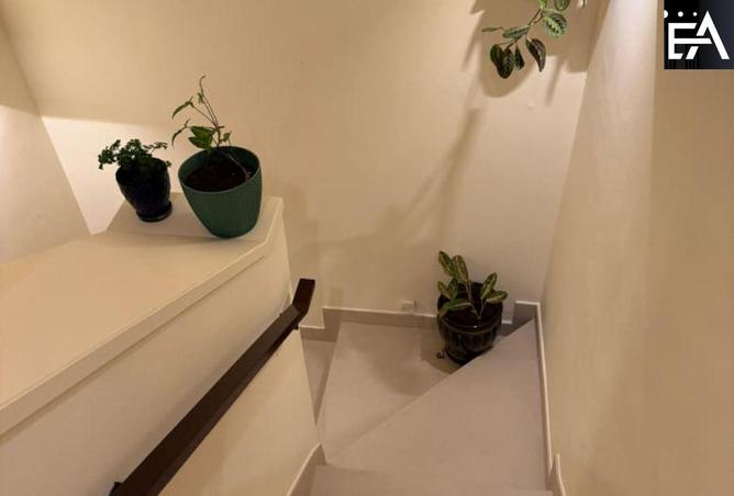 15846689 - صورة العقار 3