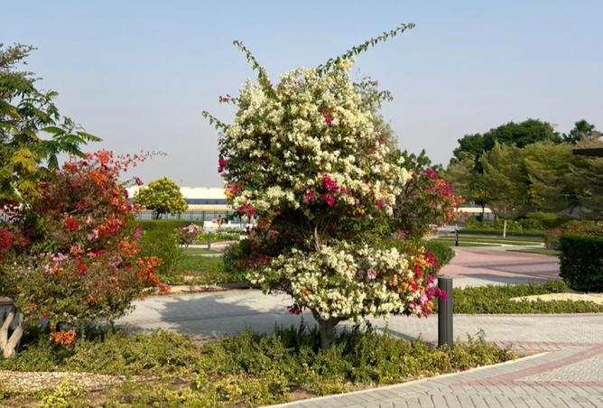 15833153 - صورة العقار 2