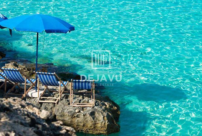 15833696 - صورة العقار 3