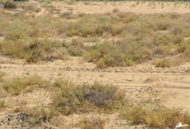 15835934 - Property Image 2