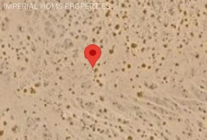 15841535 - صورة العقار 2