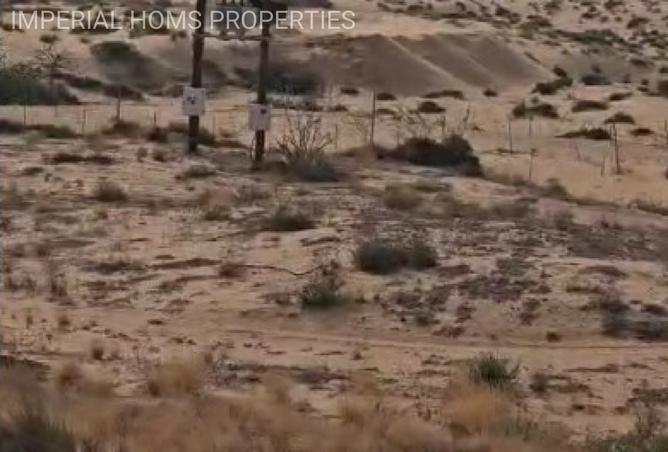 15841620 - صورة العقار 2