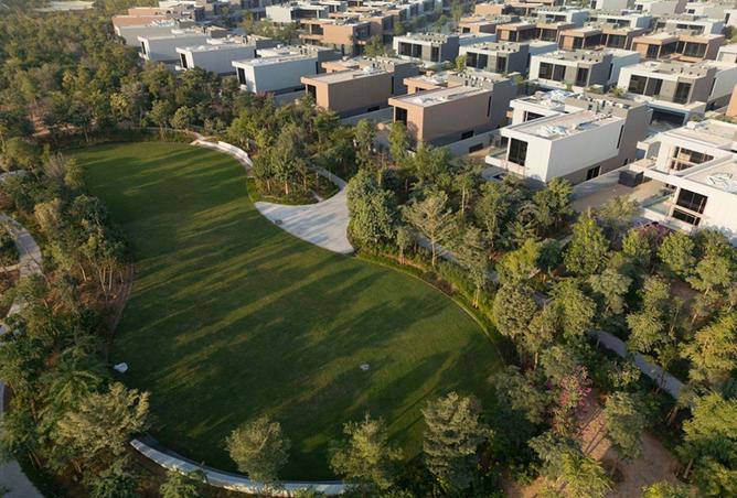 15849769 - Property Image 3