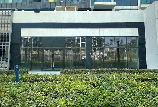 15854649 - Property Image 3