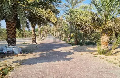 مزرعة - استوديو للبيع في الرحبة - أبوظبي