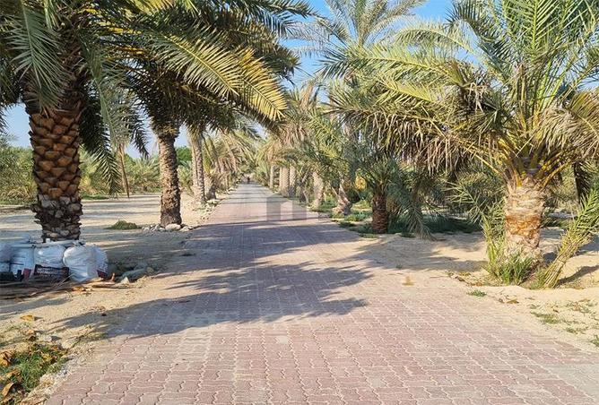 15856961 - Property Main Image