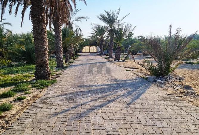 15856961 - Property Image 3