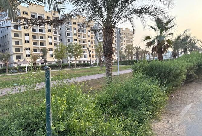 15858487 - صورة العقار 2