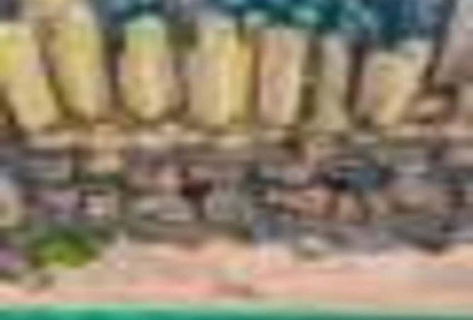 15859048 - صورة العقار 3