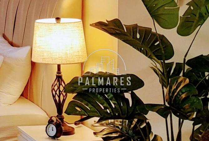 15864284 - Property Image 3