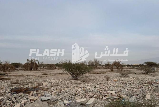 15864711 - Property Image 2