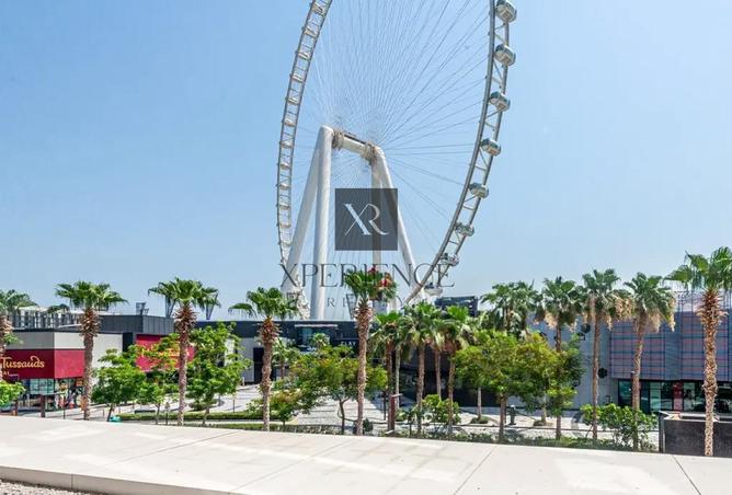 15866078 - الصورة الرئيسية للعقار