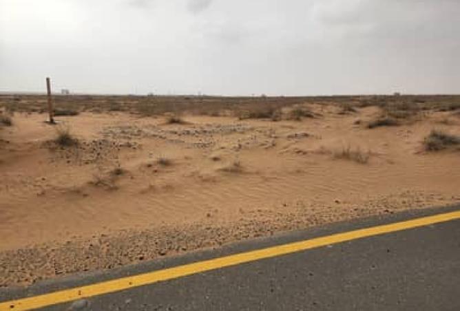 15866948 - صورة العقار 2