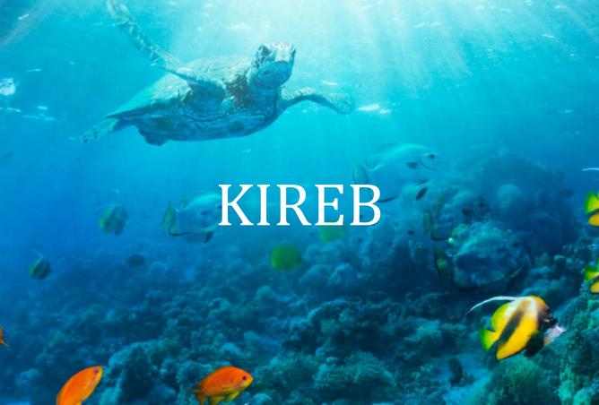 15868478 - Property Image 3