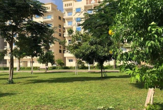 15871103 - صورة العقار 2