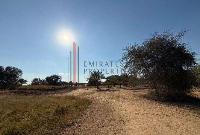 15871057 - صورة العقار 3