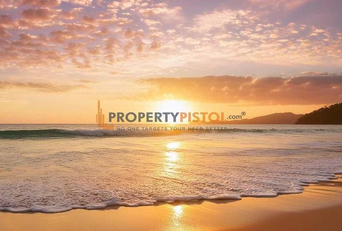 15882703 - صورة العقار 3