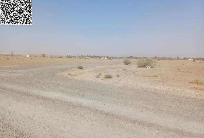 15886774 - صورة العقار 2