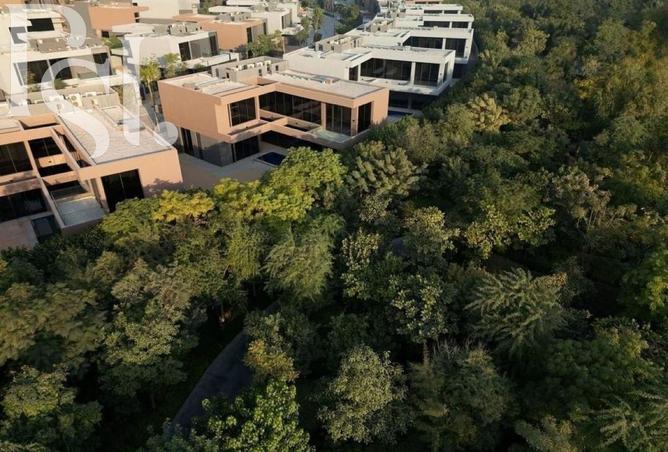 15894910 - Property Image 3