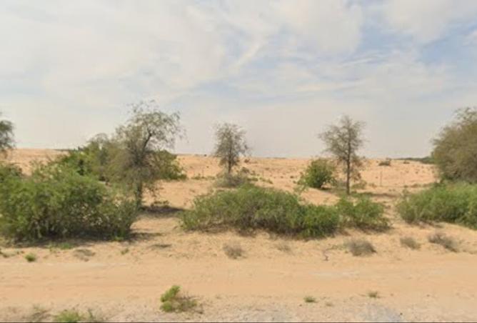 15889839 - Property Image 3