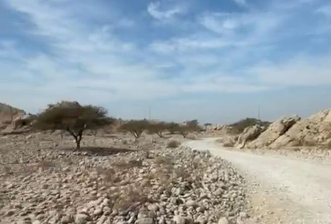 15891187 - صورة العقار 3