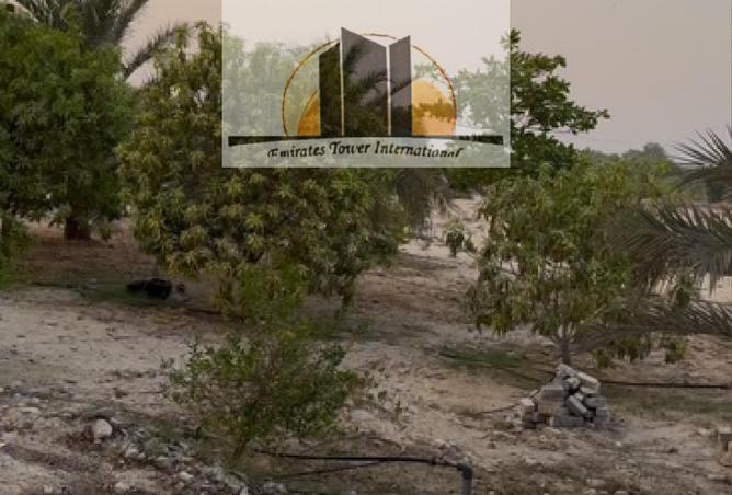 15903420 - صورة العقار 3