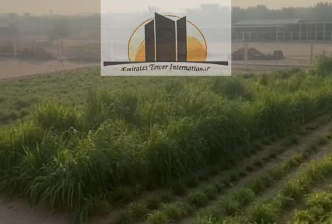 15903462 - صورة العقار 3