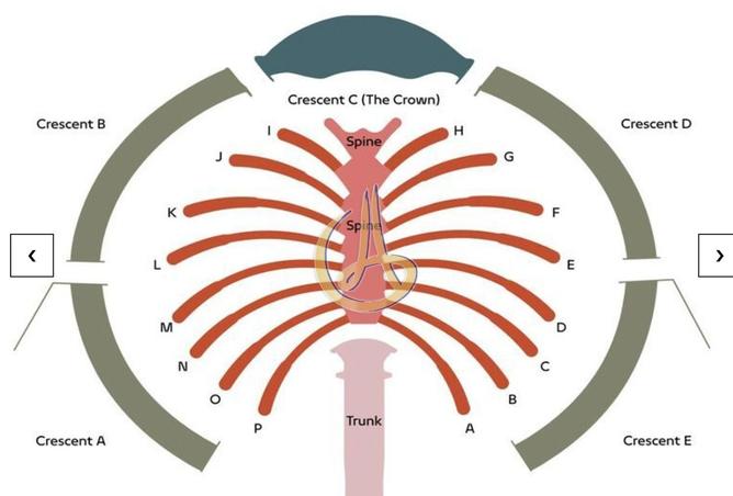 15911366 - صورة العقار 2