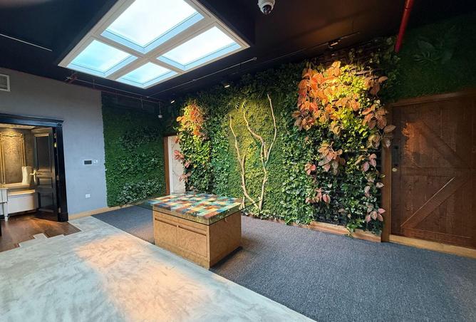 15911678 - صورة العقار 2