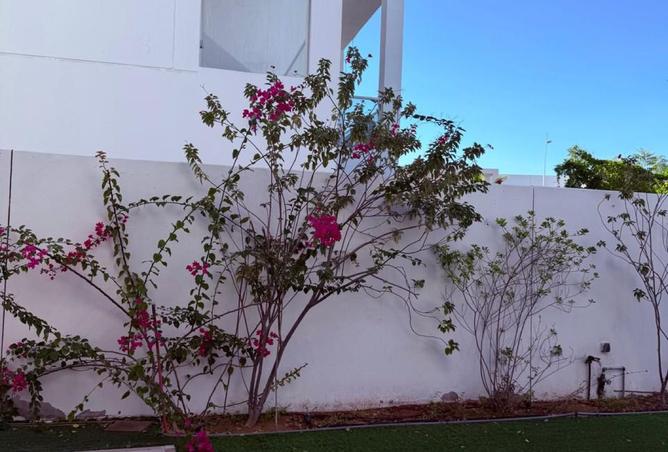 15918531 - صورة العقار 3