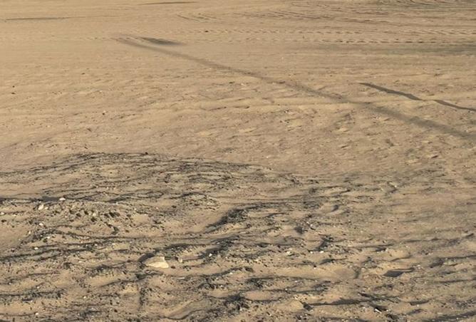 15924750 - Property Image 3