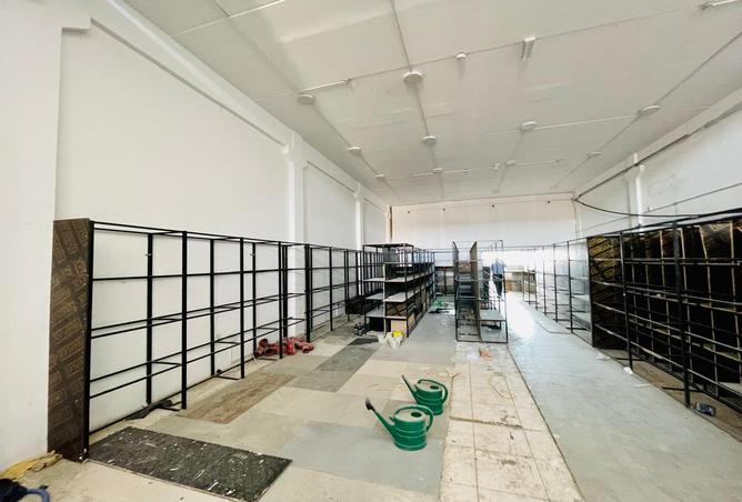 15932139 - Property Image 2