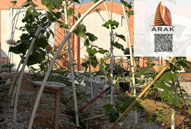 16022655 - صورة العقار 3