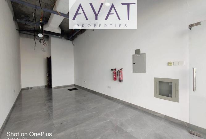 16244841 - Property Image 3