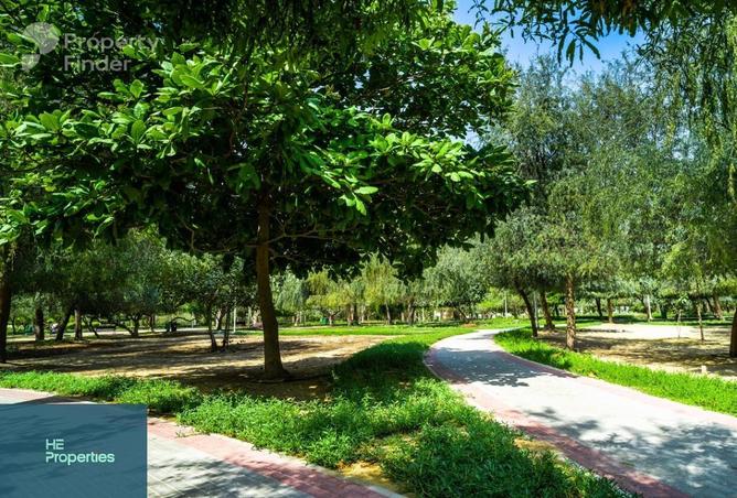 67431446 - Property Image 3