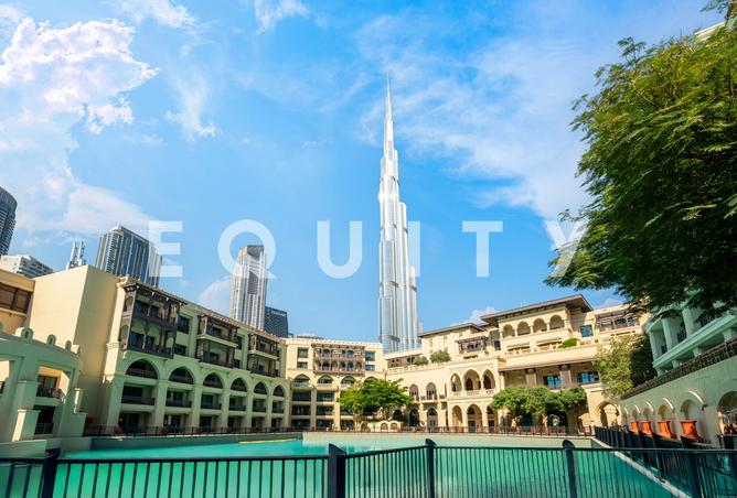 16028298 - Property Image 3