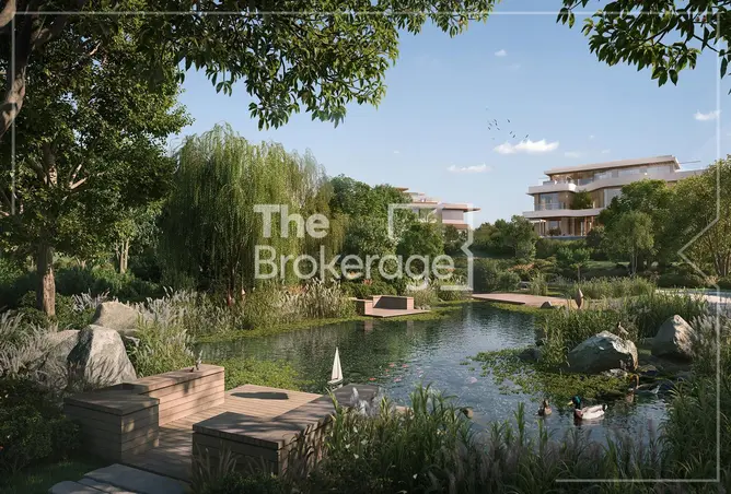 156917684 - Property Image 3