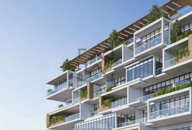 62855459 - Property Image 3