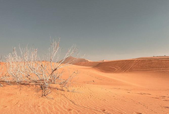 134747132 - صورة العقار 2