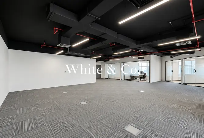 151921272 - Property Image 3