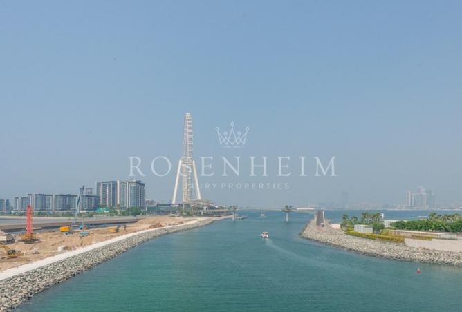 16124606 - Property Image 2