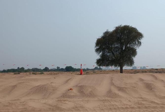 16075145 - Property Image 2