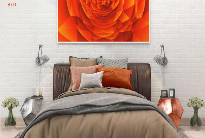 16135694 - Property Image 3