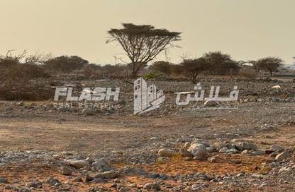 Land - Studio for sale in Seih Al Harf - Ras Al Khaimah