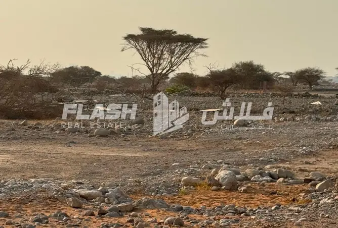 138326405 - صورة العقار 3
