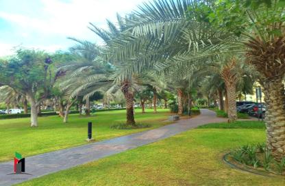 Apartment - 1 - 1 for rent in Al Thayyal 2 - Al Thayyal - Greens - Dubai Apartment - 1 - 1 for rent in Al Thayyal 2 - Al Thayyal - Greens - Dubai